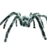 Halloween Decor Grijze spin 60 cm