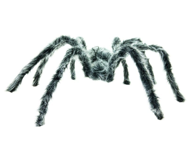 Halloween Decor Grijze spin 60 cm